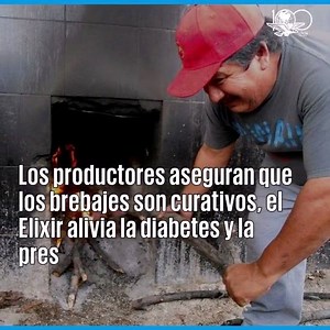 150K views · 2.7K shares | #SabíasQue el Curado de víbora, está hecho con Sotol, una bebida que sólo se hace en el norte de México, y con el veneno de la víbora de cascabel. Los productores dicen que sirve para la diabetes y el cáncer | El Universal Opinión | Facebook