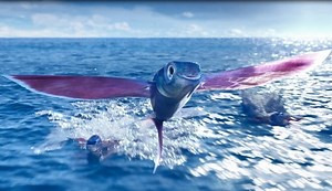 O2 lanza su nueva campaña manteniendo su magnífico universo visual