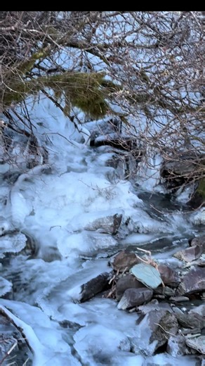 Did you watch with the sound on? The calming sounds of flowing water in nature can soothe the soul #naturetok #Alaska #flowingwater #naturesounds #soothingsounds