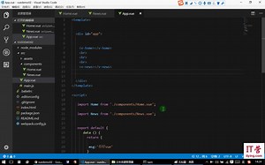 Vue2.x 5小时入门视频教程-包括Vuex、MintUi、ElementUi基础教程