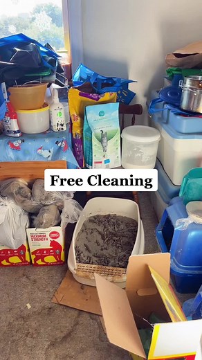 How Many Garbage Bags Did I Remove Today? | Cleaning Challenge