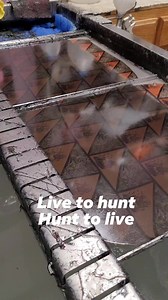 16K views · 822 reactions | New design #hydrodipping #hydrographics #custom #camo #hunting #livetohunt #fyp #foryoupage #duck | Southern Missouri Hydrographics | Facebook