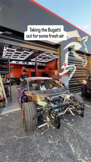 Experience the Thrill of a Bugatti in Nature