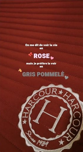 Gris pommelé 😍 #chevalpassion #2k26 #horse #pourtoi #pony #equitation #trend #cheval #edit