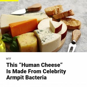 11K views · 58 reactions | Who's your favorite celebrity? | INSH | Facebook