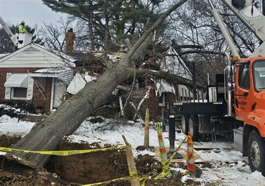 Tree falls onto St. Louis home after water main break, homeowner says