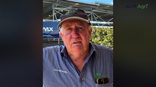 Feedlot demand drives strong results at Mortlake