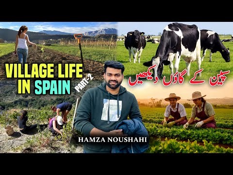 Spain Village Lifestyle | Village Life In Europe | Spain ka Gaon | Agriculture Village Vlog