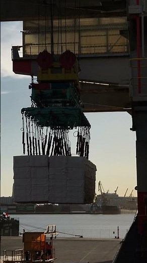 Cargo loading onboard ship | Real merchant navy life | 2026