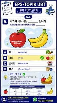 5 EPS TOPIK UBT Practice Test 40 MCQs Q5 사과와 바나나는 무엇입니까 한국어 읽기 문제