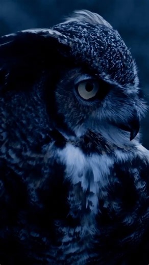 Basic Site to Site VPN Follow & Subscribe : Networks Baseline♥️♥️ Please Subscribe & support 🔥🔥 #thenetworkdna #networksbaseline #networkmarketing #NetworkEngineer #networking #Network #education #fblifestylechallenge #fbpost #fbpost2025シ #fbpost2025シfb #fblifestyle #technologytrends #TechInnovation #technology #careers #jobsearch #promotion #fblifestylechallenge | Networks Baseline