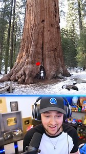 58K views · 161 reactions | Things That Are BIGGER Than You Think 勞 | Ali-A Reacts | Facebook