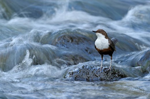 Why it's important that we value nature