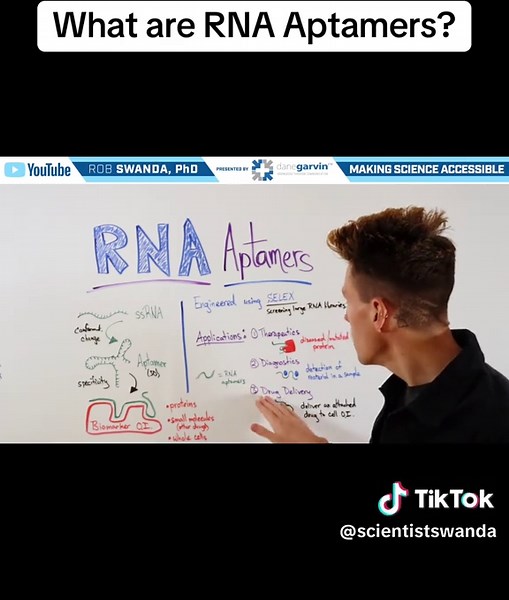 RNA Aptamers: Therapeutic Applications and Mechanisms