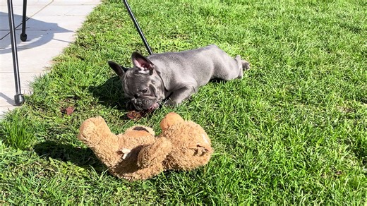 kerst.Ina (@kerst.ina)’s videos with Fun Fun Fun Fun Fun Fun - Parry Gripp