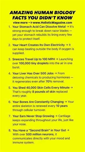 133 reactions · 46 shares | AMAZING HUMAN BIOLOGY FACTS YOU DIDN’T KNOW #holisticmagazine | Holistic Magazine | Facebook