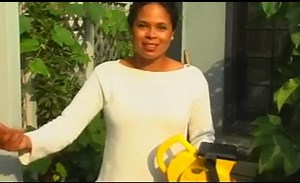 Diatomaceous Earth Pest Control: Its Benefits And Use In Your Garden