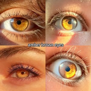 EyeStuck | Brown eyes are the most common eye color in the world, found in about 70–80% of the global population. They are known for their warmth and... | Instagram