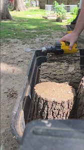 Satisfying ASMR Drilling Sounds | Drilling Holes in Tree Logs for DIY Project