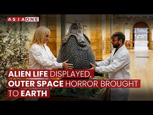 Alien Life Display Infants Get Rare Chance To See Alien Prop Up Close | Asia One News