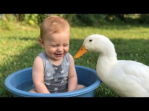 Baby & Duck Water Fun Adventure 💦🦆 | Funny Baby Duck Splash Video