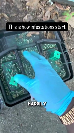 This is how infestations start… This station shows clear rodent feeding activity