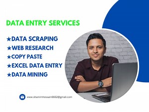 Virtual assistant data entry, copy paste, translate and web research, PDF