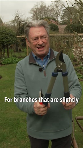 The Only 3 Pruning Tools You’ll Ever Need✂️