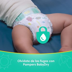 3K reactions · 48 shares | No más fugas con Pampers Baby Dry, conoce sus 3 capas de absorción que mantendrán sequito y aireado a tu bebé toda la noche | Pampers | Facebook