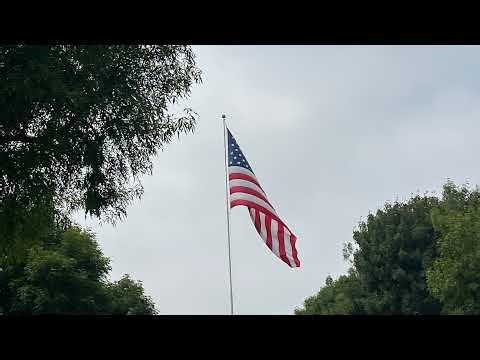 TUESDAY UPDATE STREAM AT THE PALACE