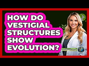 How Do Vestigial Structures Show Evolution? - Earth Science Answers