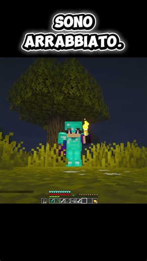 ARRABBIATISSIMO. #minecraft #shorts