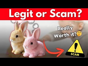 PetsBoro BunnyPal Review - Is this Realistic Bunny Legit or Scam?