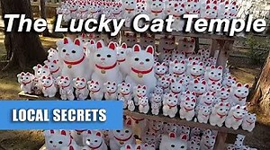This Japanese Temple has 1,000 WAVING CATS & it Brings Good Luck!