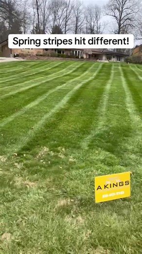 Spring Mowing: The Beauty of Lawn Stripes