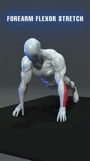 Build strong forearms — right at home.