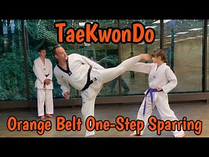 TaeKwonDo Orange Belt One-Step Sparring 11-15