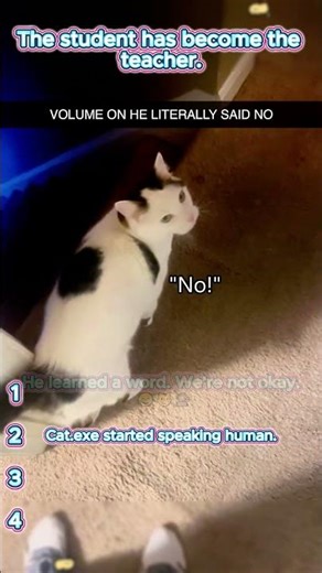 Por favor comparte con tus amigos #pov #herramientas #sketch #gracioso #actuación #historia