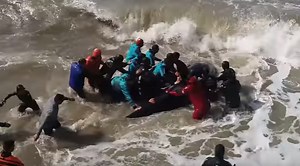 Watch The Amazing Rescue Of A Beached Orca
