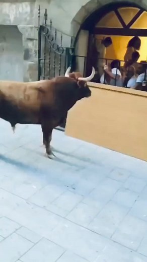 #funny #hilarious #lol #comedy #humor #witty #haha #ha #hehe #teehee #funnymemes #funnyvideos #funnypictures | Meas Pech