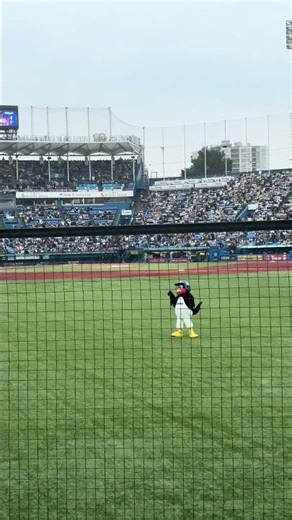 Funny Baseball Mascot ⚾ Japan Stadium