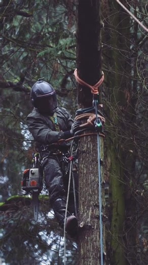 Ground Up Training | Double Block Setup “Double Blocking” is a technique used within negative rigging scenarios, to help distribute dynamic load across two... | Instagram