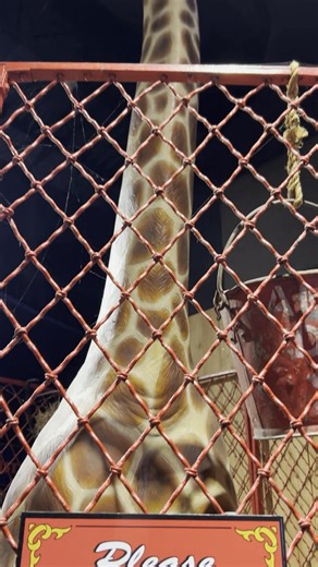 Circus World will be open 11-2 Saturday as part of our Make Baraboo Your Winter Quarters campaign. Presented with support from Travel Wisconsin | Baraboo Area Chamber of Commerce