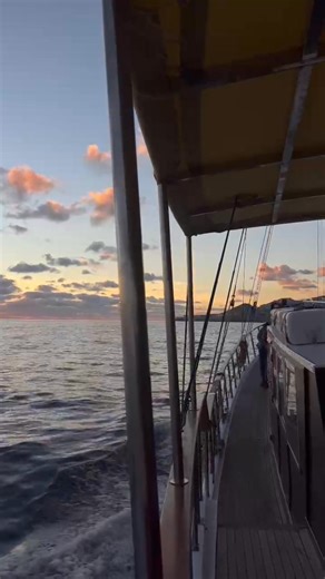 🐬 Experience the thrill of spotting dolphins dancing alongside the boat 👇Book your tour now👇 🌐 www.bonitadamadeira.com ⠀⠀⠀⠀⠀⠀⠀⠀⠀⠀ 🐳 Tours to see Whales and Dolphins, tour to Desertas Island, and many more! 🐋 Grab this opportunity to see one of the greatest beauties of Nature!! ⠀⠀⠀⠀⠀⠀⠀⠀⠀⠀ 📲 www.bonitadamadeira.com ☎️ 351 918 118 771 ✉️ bookings@bonitadamadeira.com | Bonita da Madeira
