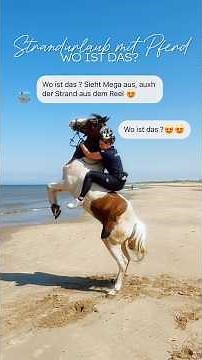 BEACH VACATION WITH MY HORSE 🐴🏝️