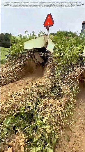 Harvesting Efficiency: How Modern Machinery Transforms Peanut Farming