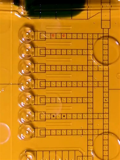 Controlling Droplets with Electricity #DigitalMicrofluidics #LabOnAChip #Electrowetting #EWOD #Biotechnology #MedicalDiagnostics #DNASequencing #DrugDiscovery #PointOfCare #MicrofluidicTechnology