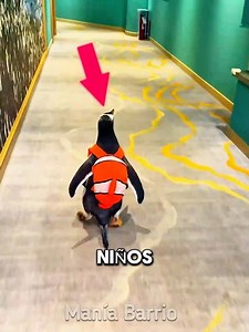 Penguin is super excited to meet his fans 😛