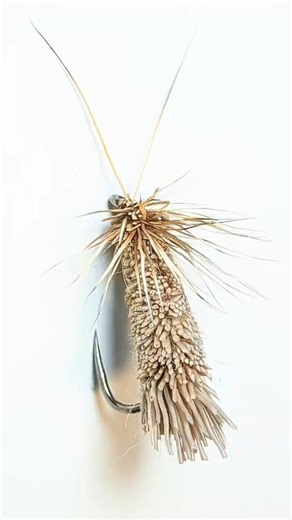 Goddard Caddis Dry Fly.#dryfly #flytying #flyfishing #caddis #troutflies #shotaflies #Bestfly #grayl