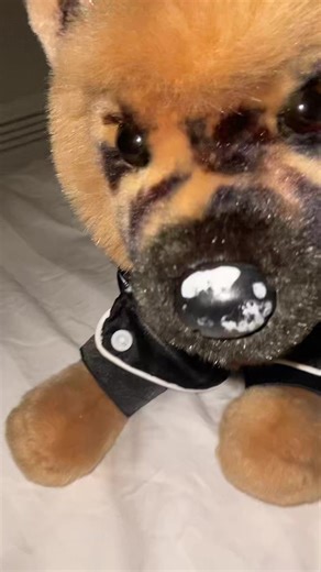 Me somehow at 2am on a school night💔#essa #emotinalsupportstuffedanimal #ESSA #essaacc